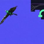 The Surprising Turn in Robinhood’s Fortunes: What’s Behind the Recent Slide?